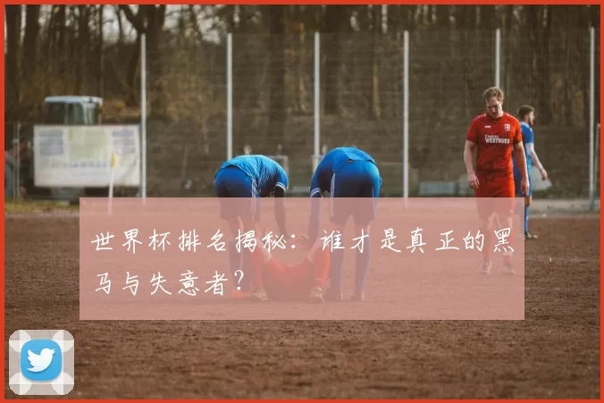 世界杯排名揭秘:谁才是真正的黑马与失意者?