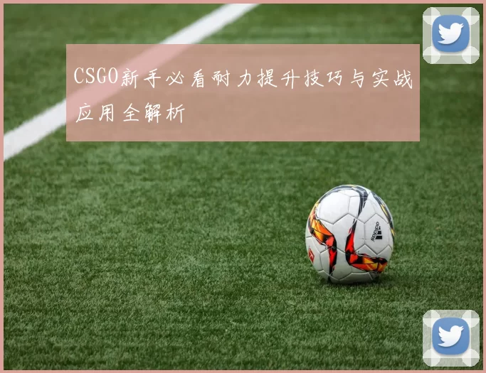 CSGO新手必看耐力提升技巧与实战应用全解析