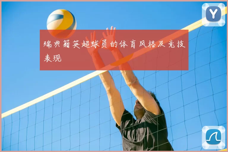 瑞典籍英超球员的体育风格及竞技表现