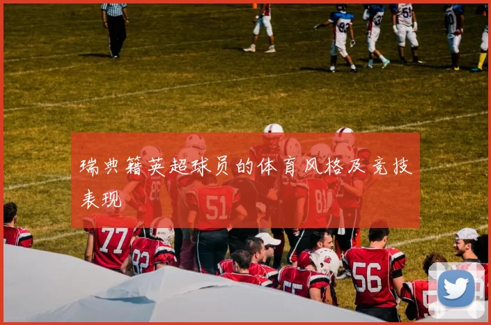 瑞典籍英超球员的体育风格及竞技表现