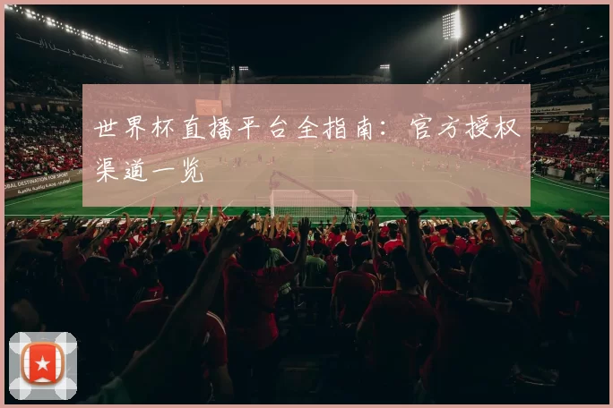 世界杯直播平台全指南:官方授权渠道一览