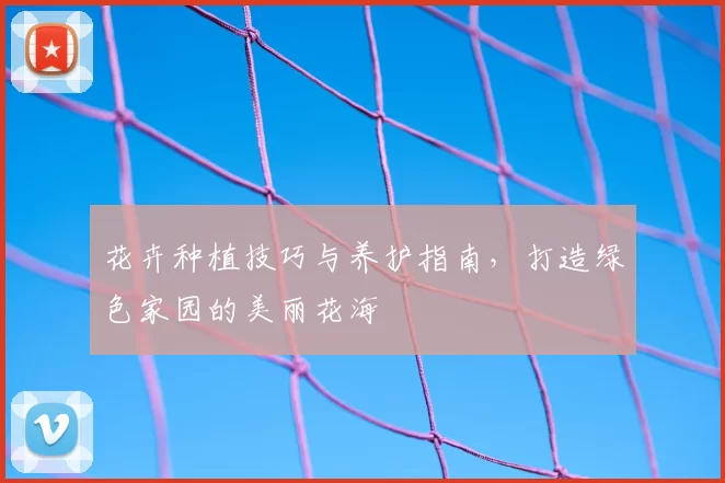 花卉种植技巧与养护指南,打造绿色家园的美丽花海