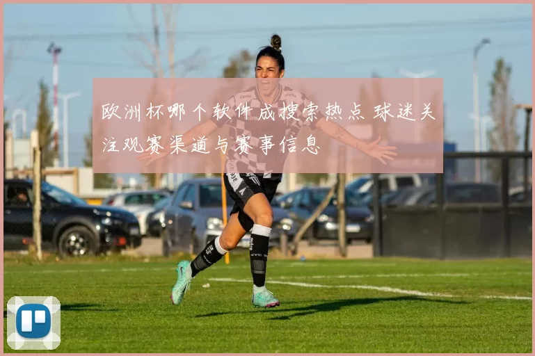 欧洲杯哪个软件成搜索热点 球迷关注观赛渠道与赛事信息