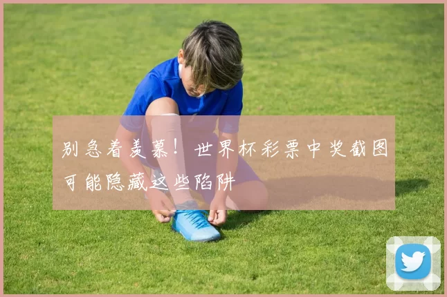 别急着羡慕!世界杯彩票中奖截图可能隐藏这些陷阱