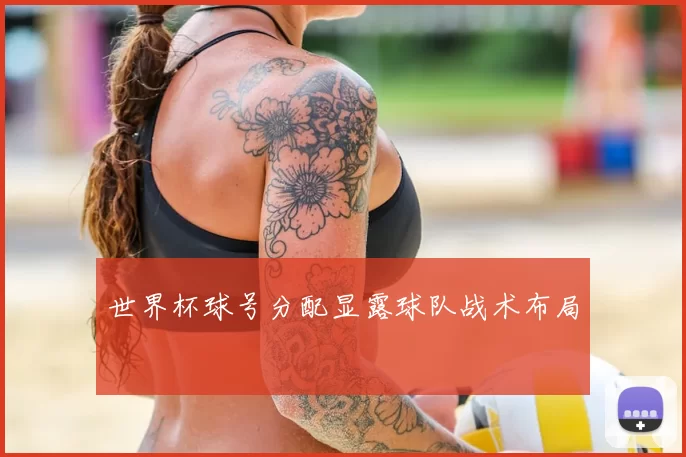 世界杯球号分配显露球队战术布局