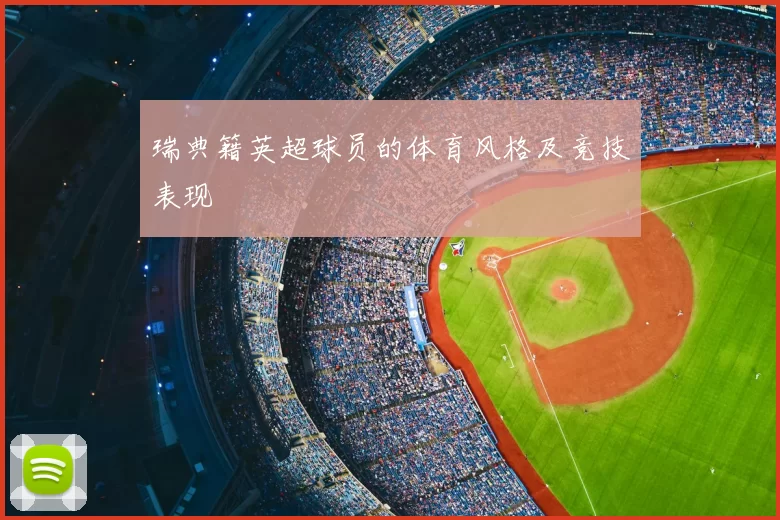 瑞典籍英超球员的体育风格及竞技表现
