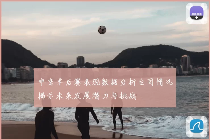 申京季后赛表现数据分析合同情况揭示未来发展潜力与挑战