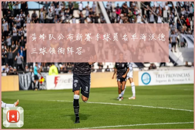 黄蜂队公布新赛季球员名单海沃德三球领衔阵容