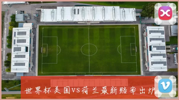 世界杯美国vs荷兰最新赔率出炉