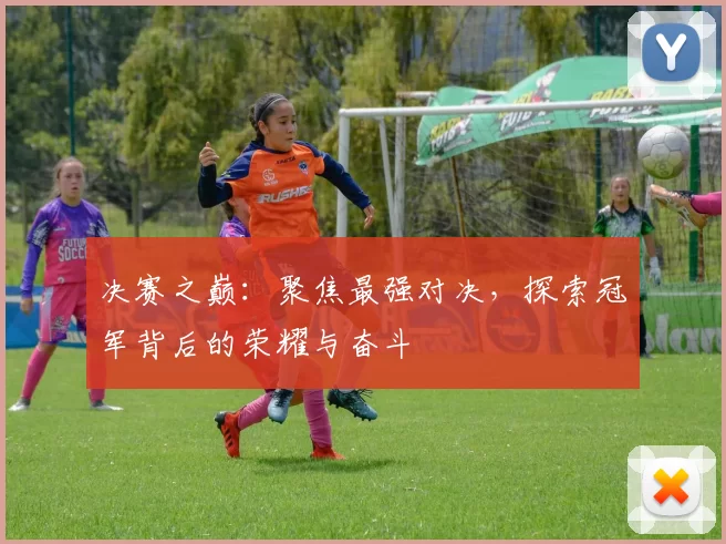 决赛之巅:聚焦最强对决,探索冠军背后的荣耀与奋斗