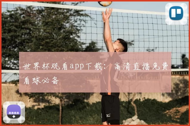 世界杯观看app下载：高清直播免费看球必备