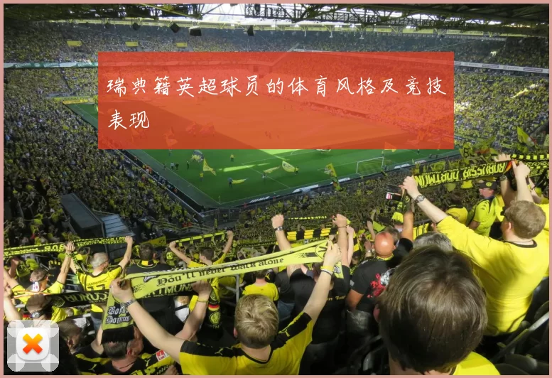 瑞典籍英超球员的体育风格及竞技表现